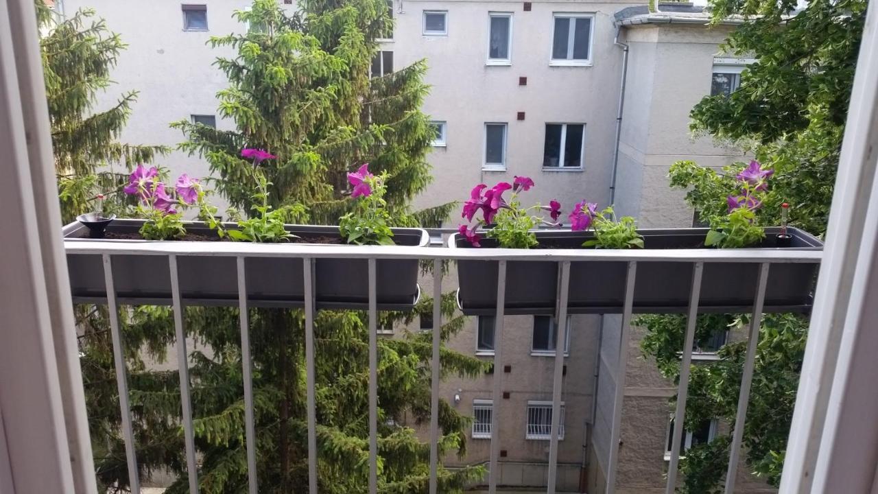 Tisza-Parti Napfeny Apartman Szeged Luaran gambar